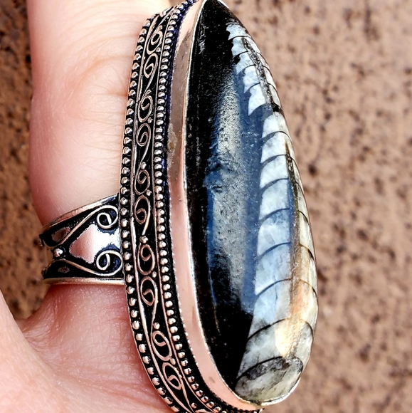 New Huge Orthoceras Fossil 925 Silver Ring. - Picture 11 of 16